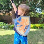 Sword & Shield Set Lion Blue